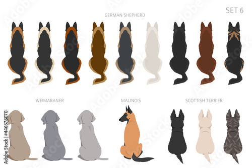 Sitting dogs backside clipart, rear view. Diifferent coat colors variety. Pet graphic design for dog lovers