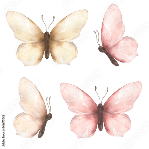 Wallpaper Mural Delicate butterfly Clipart, Watercolor Insects illustration, Butterflies clip art,  Wedding Invitation, Logo design, baby shower card Torontodigital.ca