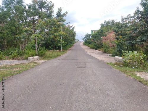 road in the forest