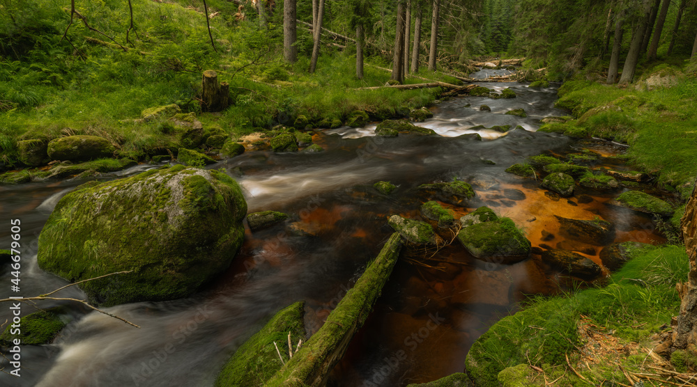 Color summer Studena Vltava river near Stozec village in national park