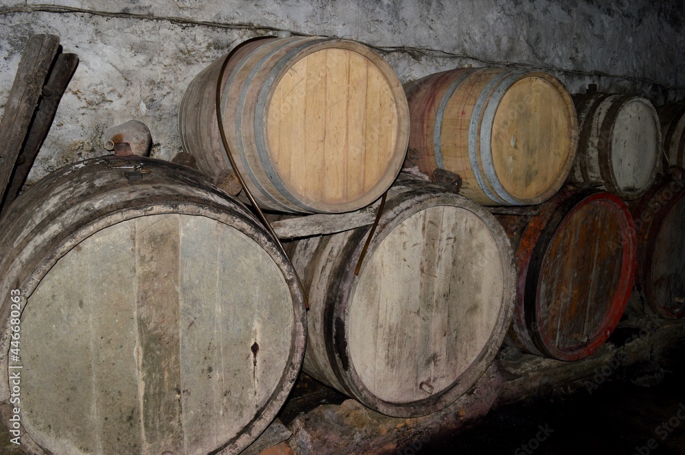 wine cellar with wooden barrels