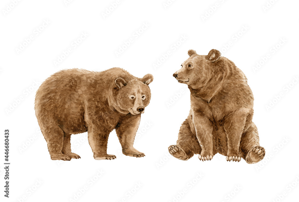 Φωτογραφία watercolor illustration of brown grizzly bear