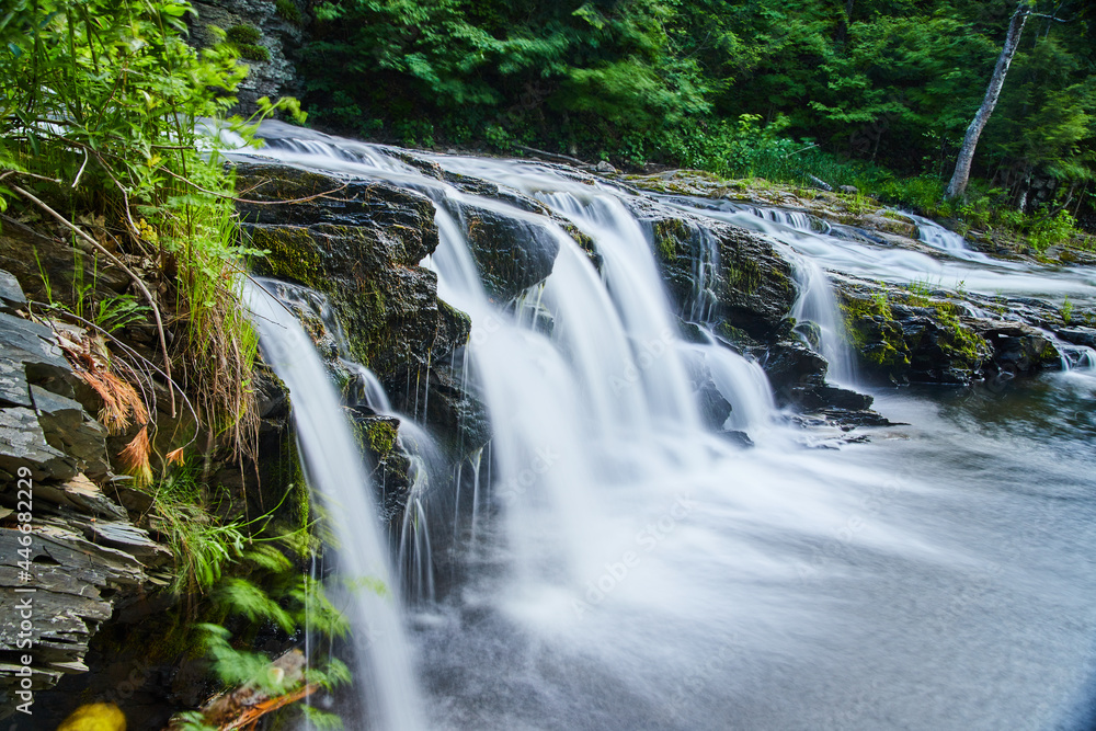 Fototapeta premium Cascading waterfalls surrounded by green trees
