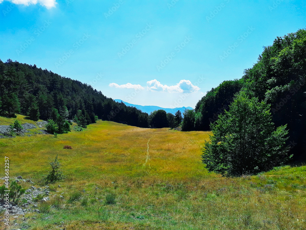 Fied in Italian mountain area, Abruzzo, on a sunny day Fied in Italian mountain area, Abruzzo, on a sunny day
