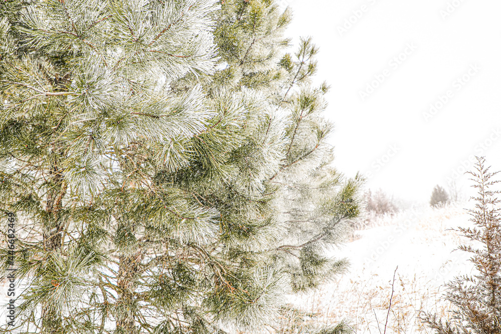 Fototapeta premium Winter in Nebraska