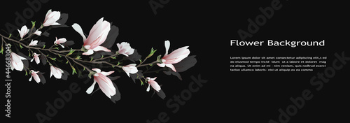 realistic  flower isolated on black  background. Magnolia branch is a symbol of spring, summer. art  element for design, web,  banner invitation. vector illustrtion