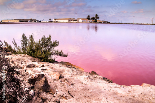 Pink Salt flats in the saltworks of San Pedro del Pinatar
