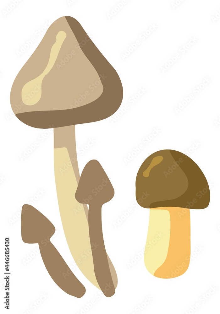 Forest edible mushrooms. Hand drawn vector illustration. Colored cartoon doodle of fall harvest. Single autumn nature drawing isolated on white. Element for design, print, sticker, card, decor, wrap.