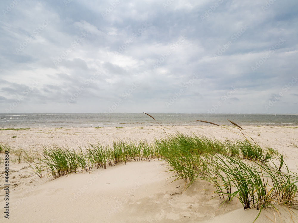 Stranddüne 