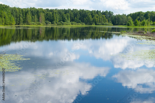 Reflection of the sky in the lake in summer