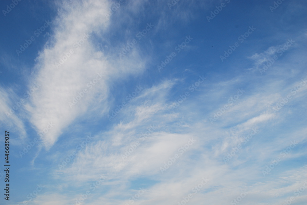 Snow-white clouds on a blue sky background. On a summer day, feathery fluffy clouds of various shapes and sizes slowly float across the light blue sky. Snow-white clouds on a blue sky background. On a summer day, feathery fluffy clouds of various shapes and sizes slowly float across the light blue sky.