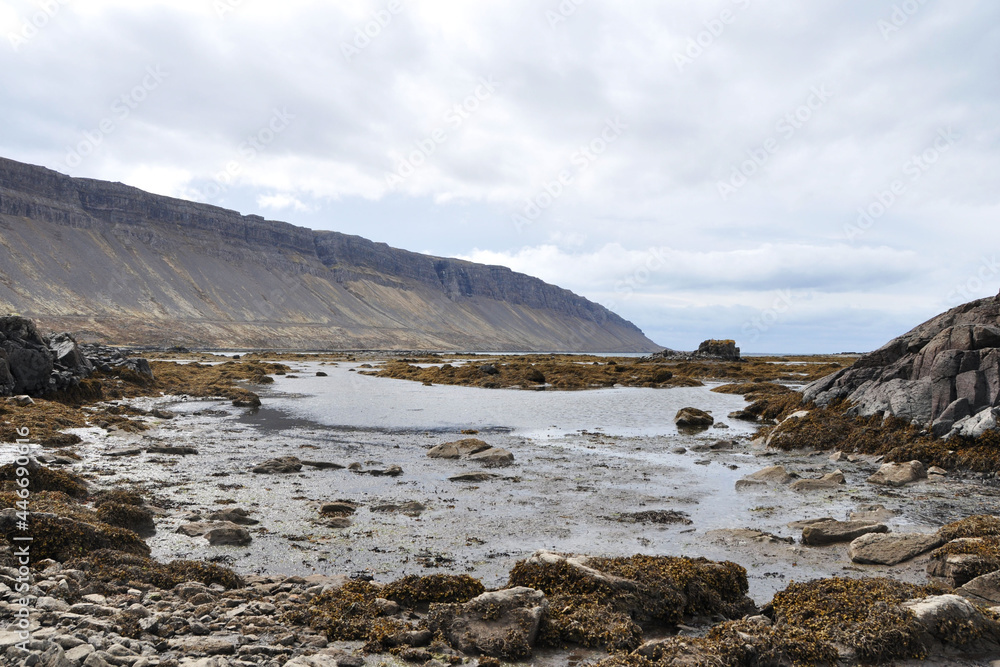 Icelandic fjord landscape Icelandic fjord landscape