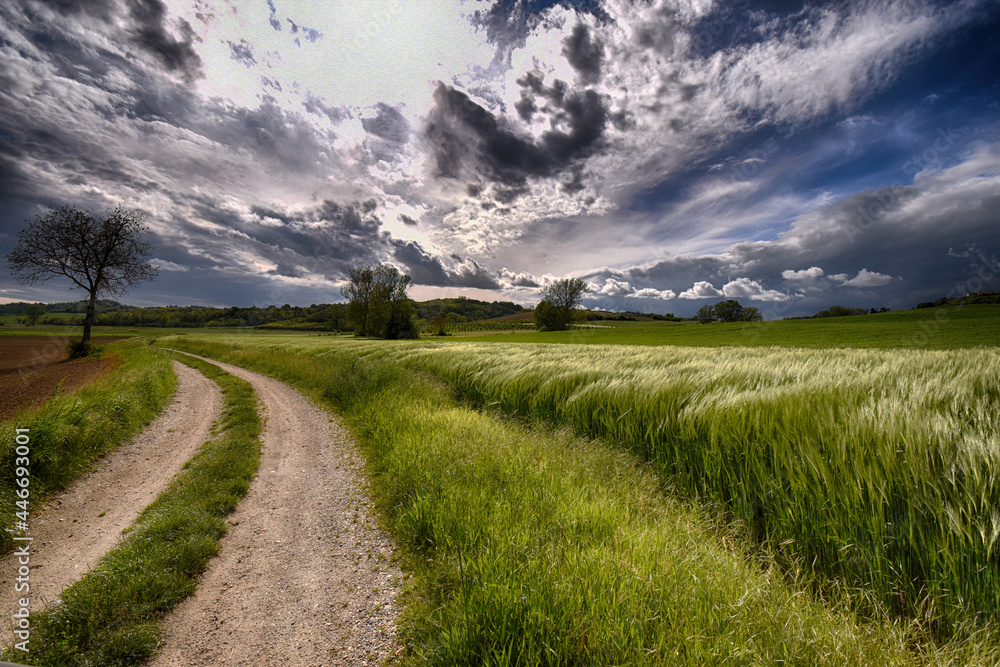 Obraz premium Monferrato piemontese