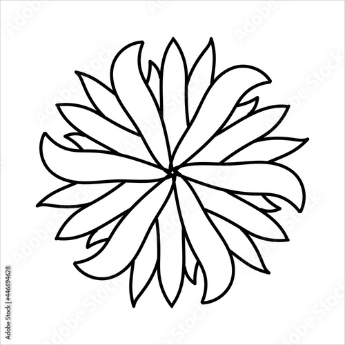 Aster flower made of black lines on a white background for clipart or web design