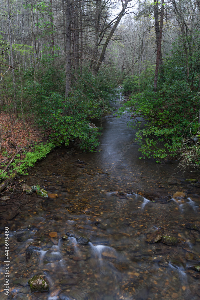 Fires Creek in Nantahala National Forest Fires Creek in Nantahala National Forest