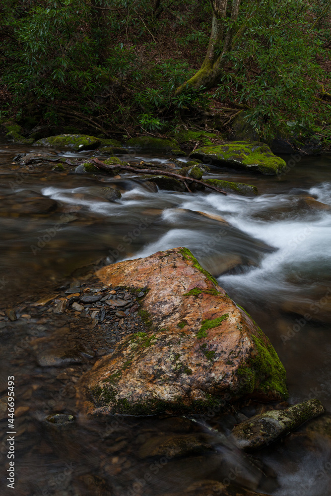 Fires Creek in Nantahala National Forest Fires Creek in Nantahala National Forest