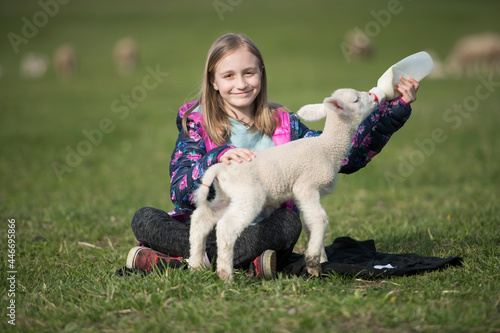 girl and lamb sheep
