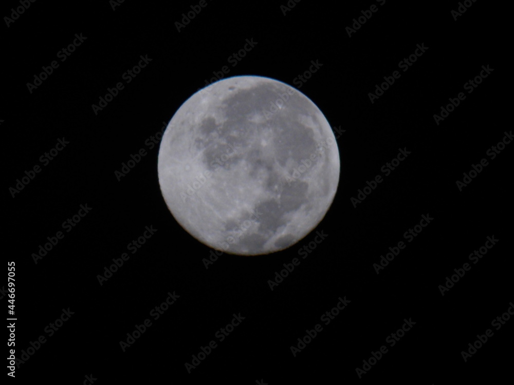 moon moon