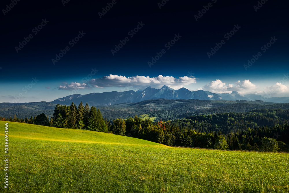 Naklejka premium landscape in the mountains