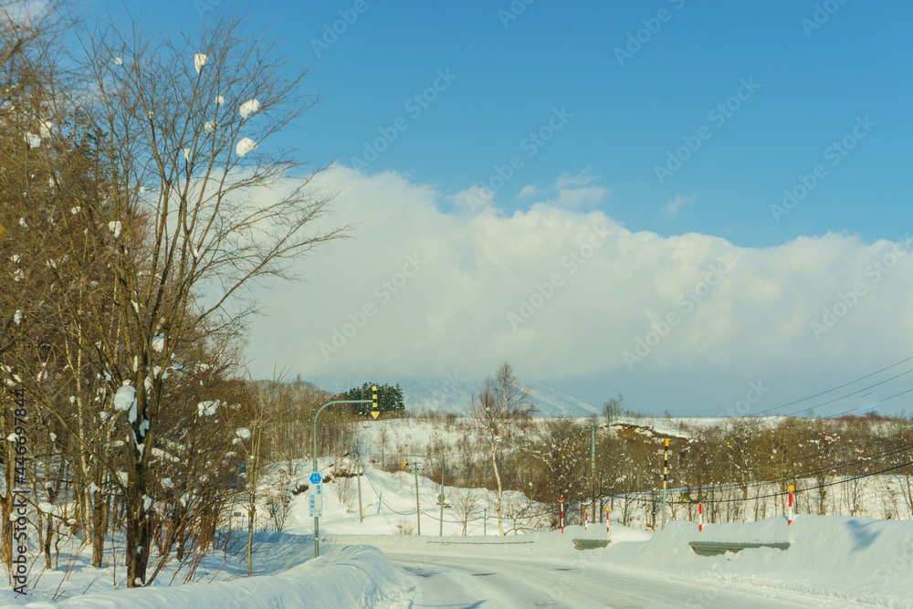 Beautiful Winter Landscape with Winter forest under the snow , powder snow on a road in, Hokkaido Japan view from inside car.