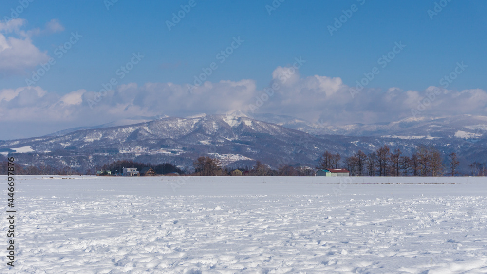 Beautiful Winter Landscape with Winter forest under the snow with foot print , powder snow on a road in, Hokkaido Japan