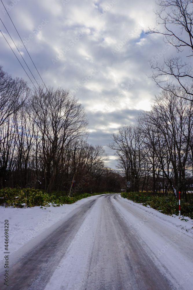 Fototapeta premium Beautiful Winter landscape and old house with road covered by snow