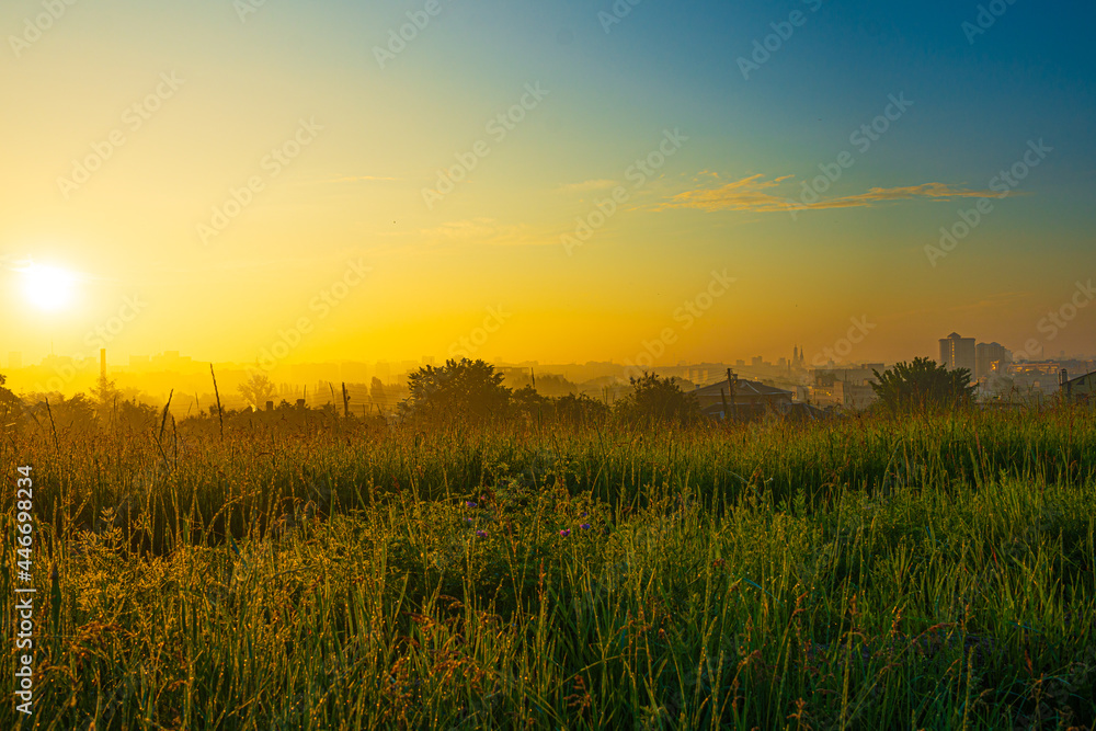 Summer morning in the city