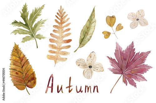 Collection of watercolor autumn leaves for decor  design  cards  invitations. 