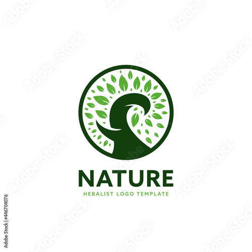 Hebal natural plant based logo icon badge template with leaf and swirl tree branch sprout photo