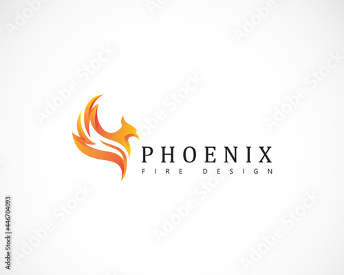 phoenix logo creative color modern fire bird angry