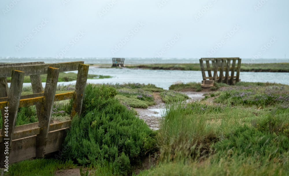Wooden pedestrian bridges in the salt marshes at Stiffkey near Holt in North Norfolk, East Anglia UK.