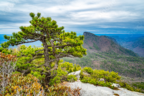View of Table Rock and Linville Gorge Wilderness, North Carolina, on overcast cloudy day, winter, nature, trees, Blue Ridge mountains