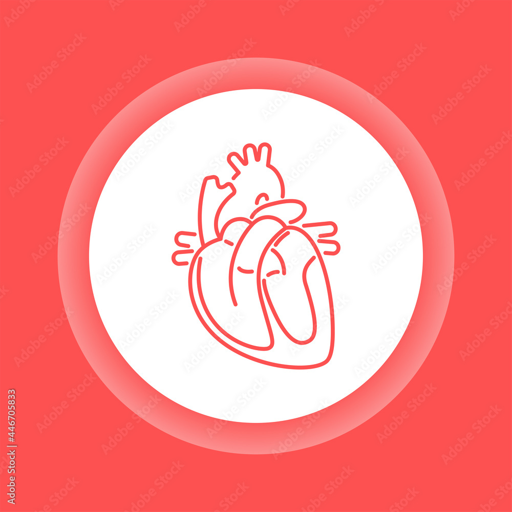 Anatomy cardiovascular system color button icon. Anatomy cardiovascular system color button icon.