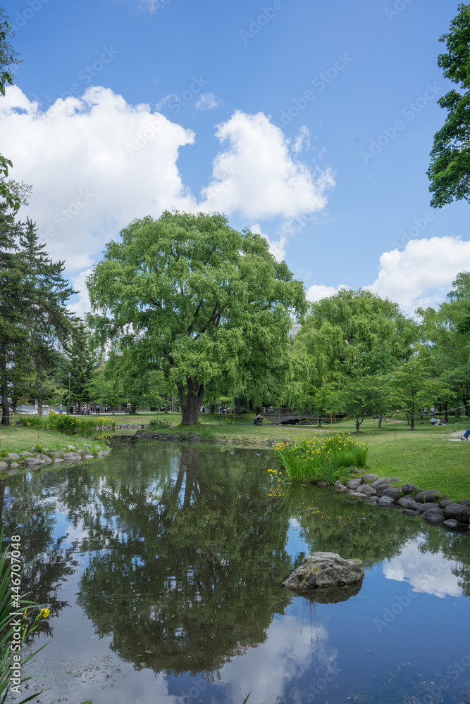 中島公園の風景 中島公園の風景