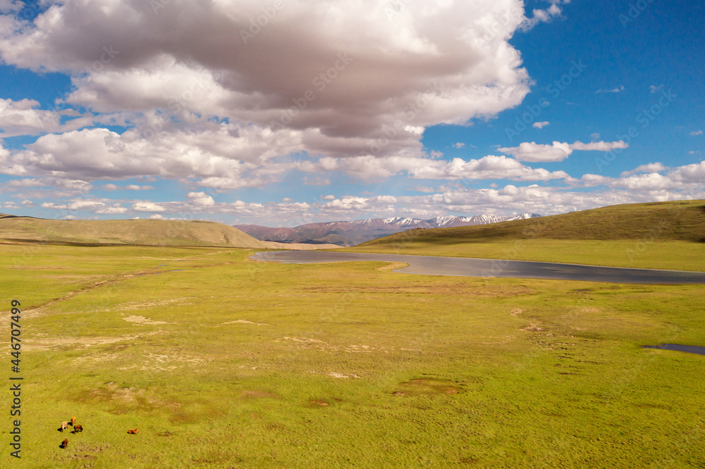 Grassland with blue sky and white clouds. Photo in Bayinbuluke Grassland in Xinjiang, China. Grassland with blue sky and white clouds. Photo in Bayinbuluke Grassland in Xinjiang, China.