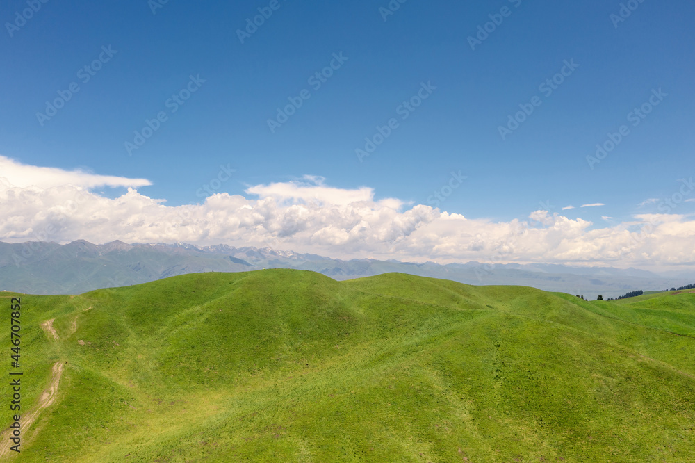 Nalati grassland with the blue sky. Nalati grassland with the blue sky.