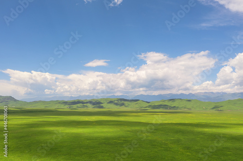 Nalati grassland with the blue sky. photo