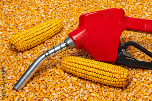 Ethanol gasoline fuel nozzle and corn kernels. Biofuel, agriculture and fuel price concept