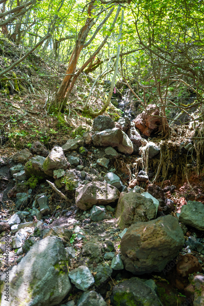 大分県の平治岳、大船山の登山道 Trail of Mt.Heijidake and Mt.Taisenzan in Oita Prefecture 大分県の平治岳、大船山の登山道 Trail of Mt.Heijidake and Mt.Taisenzan in Oita Prefecture