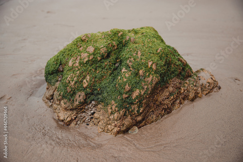 Mossy Rock