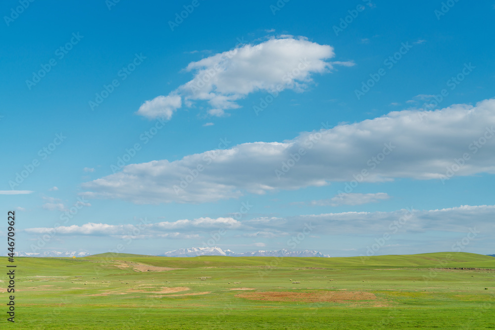 Vast grasslands and snow-capped mountains. Photo in Bayinbuluke Grassland in Xinjiang, China.