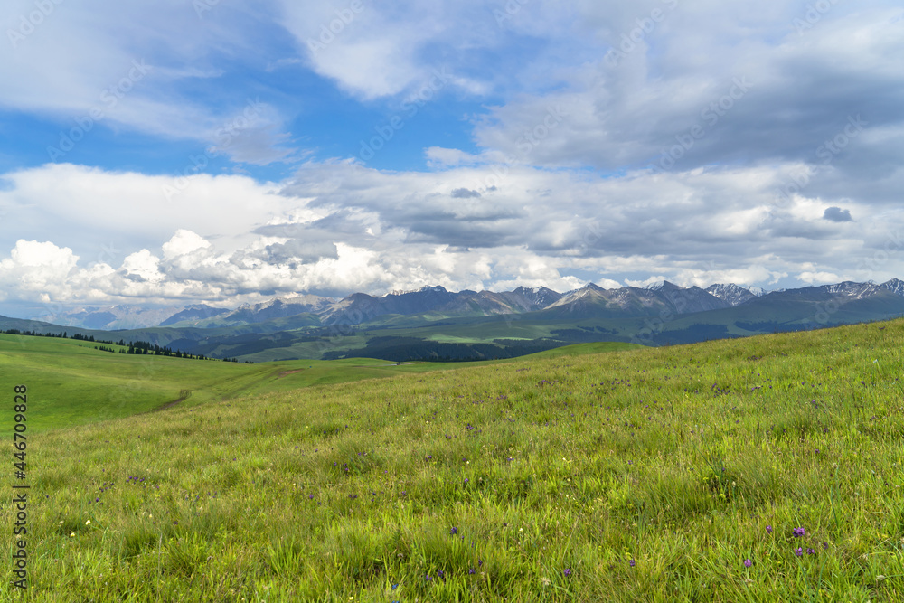 Grassland and mountains in a sunny day. Photo in Kalajun grassland in Xinjiang, China.