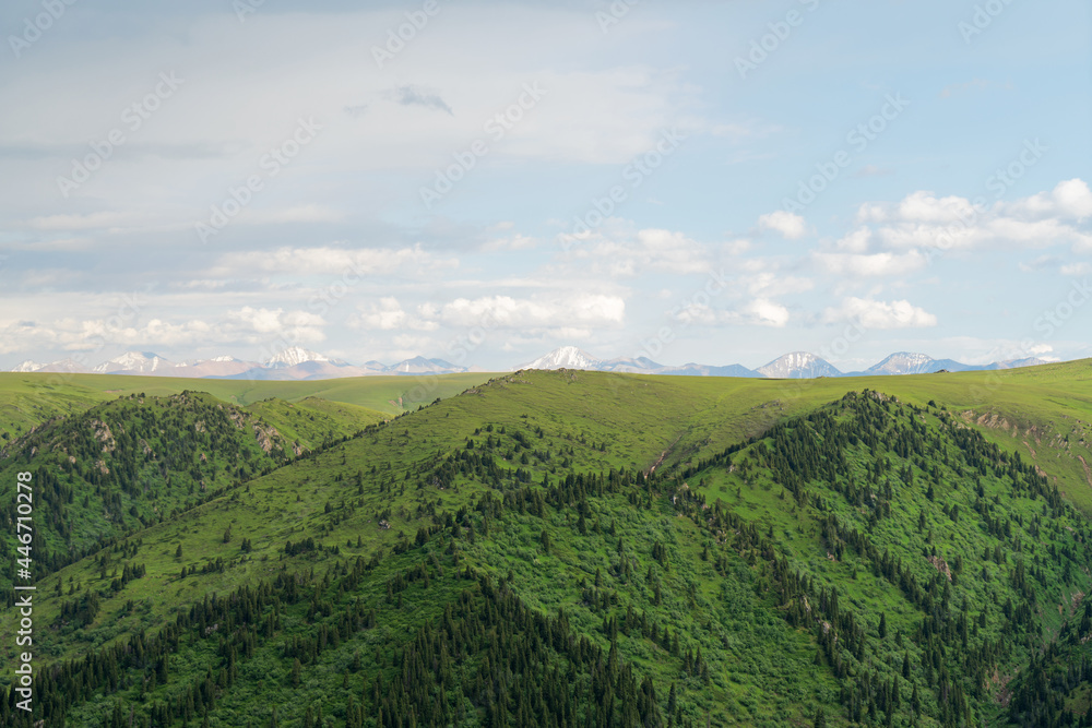 Obraz premium Mountains with blue sky.