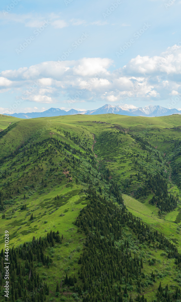 Fototapeta premium Mountains with blue sky.