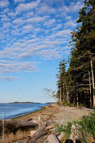 Beach near campground at Rathtrevor Provincial Park, Vancouver Island. photo