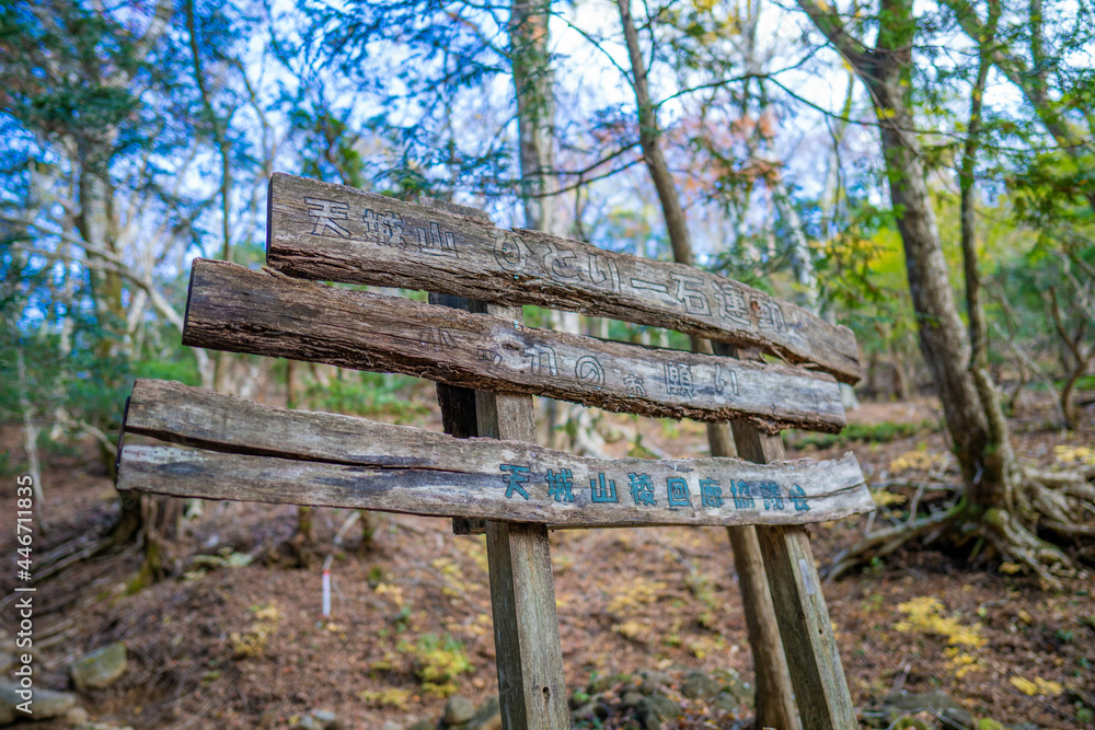静岡県の天城山の紅葉の季節の登山道 Mt. Amagi Mountain Trail in Shizuoka Prefecture during the Fall Foliage Season 静岡県の天城山の紅葉の季節の登山道 Mt. Amagi Mountain Trail in Shizuoka Prefecture during the Fall Foliage Season