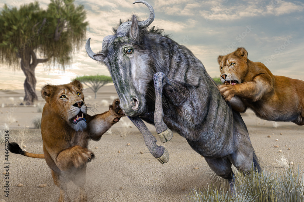 乾燥したサバンナで大きな角を持つ草食動物を狩りする２頭の雌ライオン Stock Illustration Adobe Stock