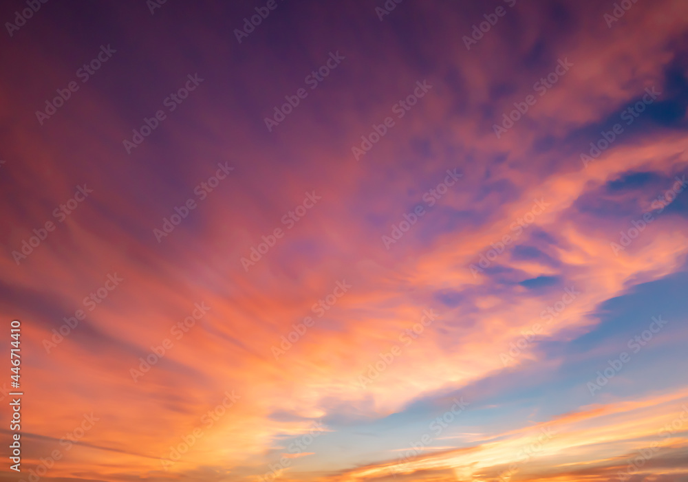 Fototapeta premium Panoramic view of sunset golden and blue sky nature background.