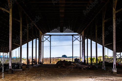 inside an abandoned farm with trees, dry grass field, and mountains in California  photo