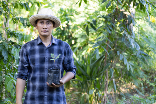 Asian man holding plant saplings to prepare for planting